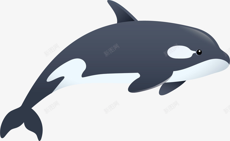 翻腾的大白鲸png免抠素材_88icon https://88icon.com 动物 哺乳动物 大白鲸 海洋动物 翻腾 鲸鱼