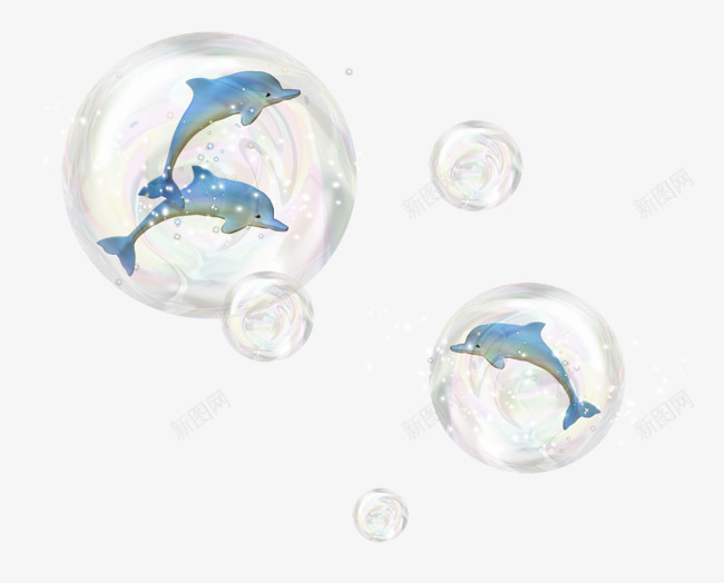 海洋生物png免抠素材_88icon https://88icon.com 动物 海洋生物 海豚 白鲸