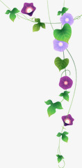 藤蔓png免抠素材_88icon https://88icon.com 喇叭花 花卉 藤条