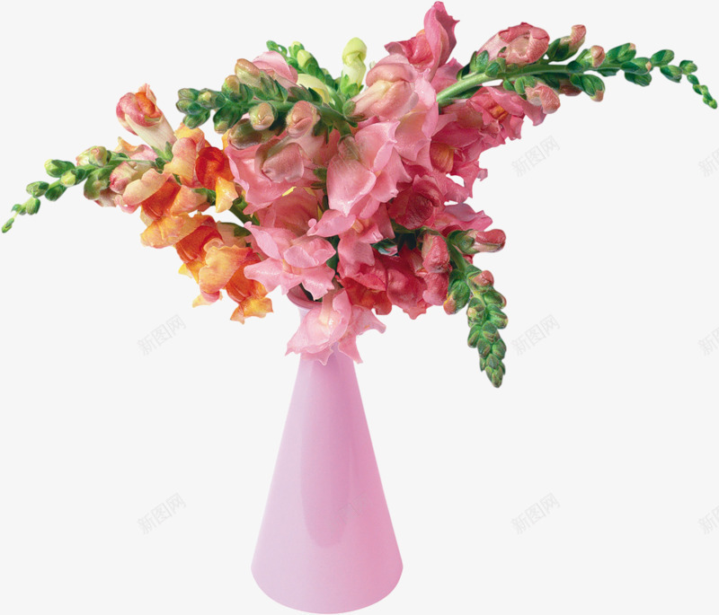 插花png免抠素材_88icon https://88icon.com 印花 小花 底纹 彩色 手绘花 插花 时尚 花朵 花纹 装饰花 韩国花 韩式