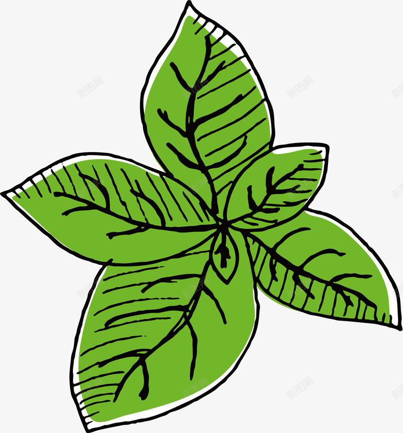 手绘绿色蔬菜矢量图ai免抠素材_88icon https://88icon.com 好吃 好看 新鲜 无公害 有机 榨手绘绿色蔬菜 绿色 美味 翠绿 色彩鲜艳 矢量图