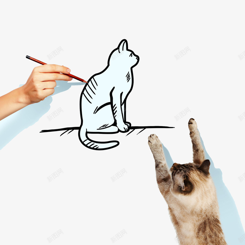 手绘小猫png免抠素材_88icon https://88icon.com 书画比赛 作画 创意 勾勒 手绘 描绘 涂抹 画图 画画 素描 纸笔 绘出 绘图 绘画 色彩应用