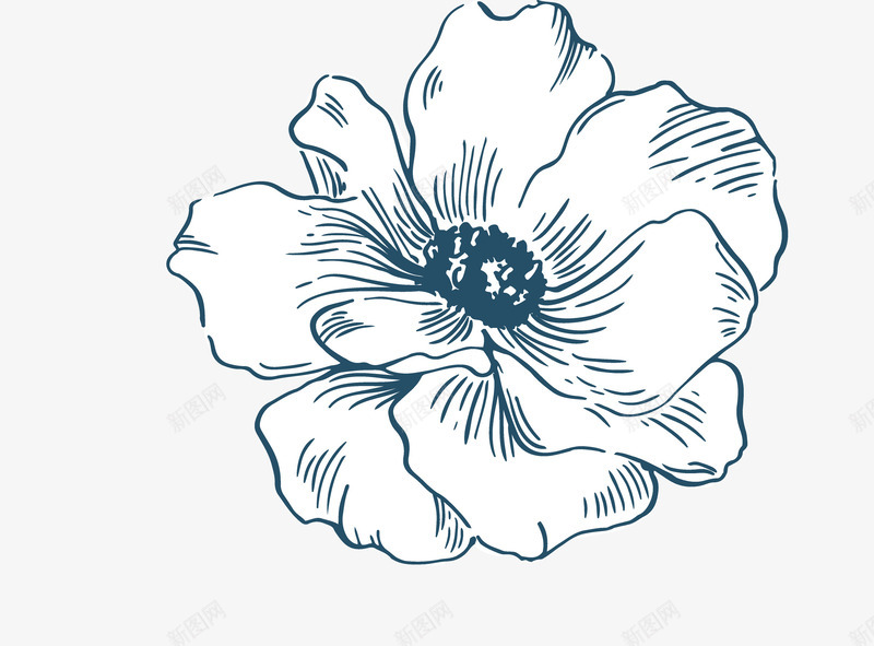 小清新唯美水彩花朵素描png免抠素材_88icon https://88icon.com 包装设计 印花 小清新包装 花朵 花朵素描 花朵装饰 花瓣 花瓣装饰 花草设计 贺卡设计