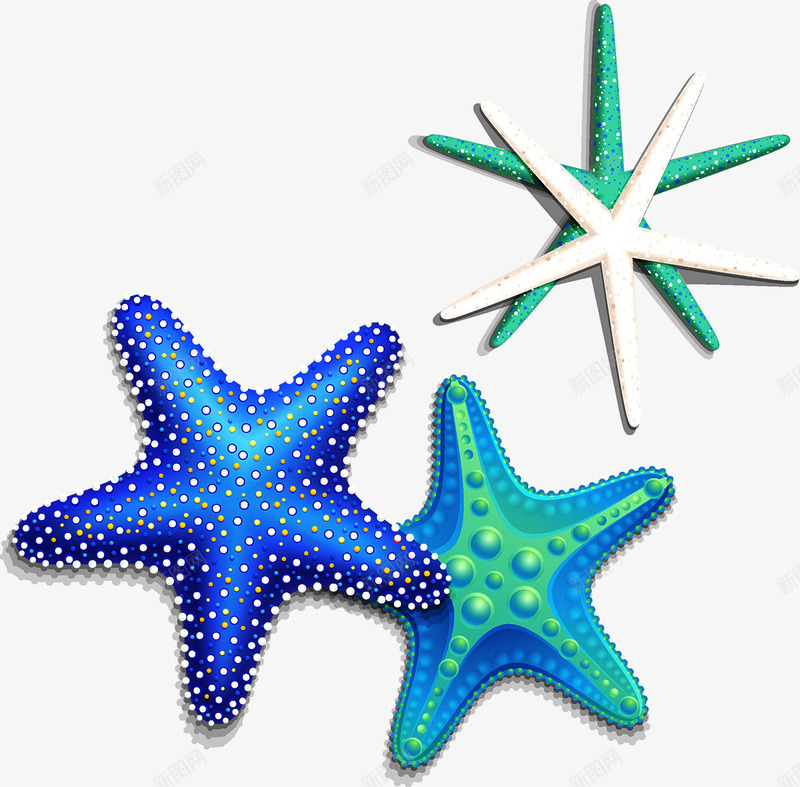 卡通海星png免抠素材_88icon https://88icon.com 卡通 夏天 沙滩 海星 海洋 海洋元素 海洋元素PPT 海洋元素免抠 海洋生物 海生物