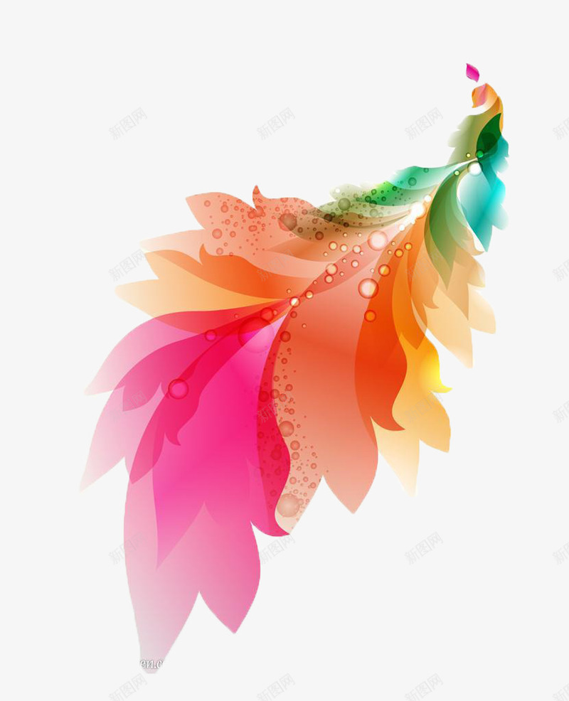 彩色凤尾花png免抠素材_88icon https://88icon.com 凤尾花 彩色 色彩 装饰图案