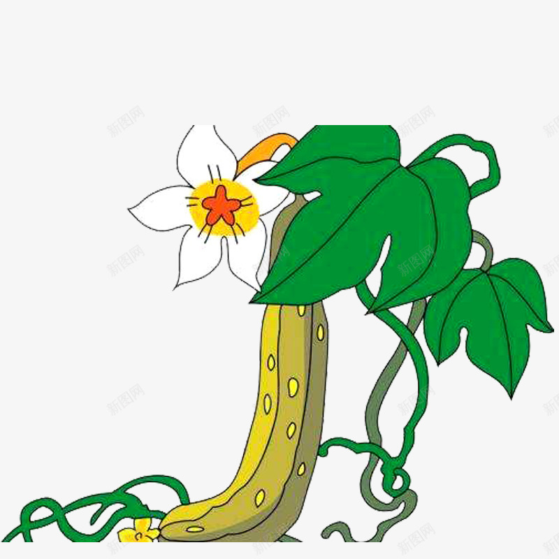 手绘丝瓜花png免抠素材_88icon https://88icon.com 丝瓜 丝瓜叶 丝瓜花 丝瓜藤 手绘 手绘丝瓜花免抠png 植物 田园 绿色瓜藤 蔬菜