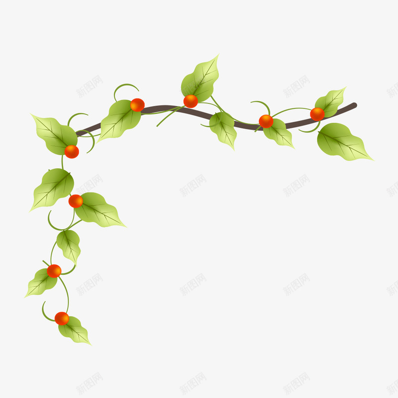 藤蔓png免抠素材_88icon https://88icon.com 攀爬 树叶 绿叶 藤蔓