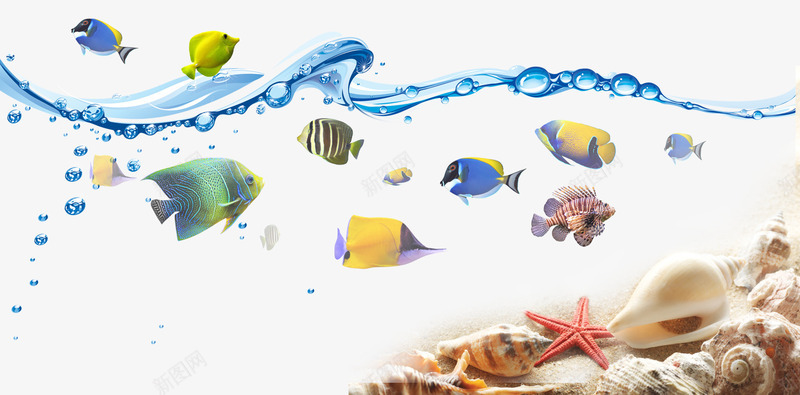 海底海洋鱼类贝壳psd免抠素材_88icon https://88icon.com 海底 海洋 贝壳 鱼类