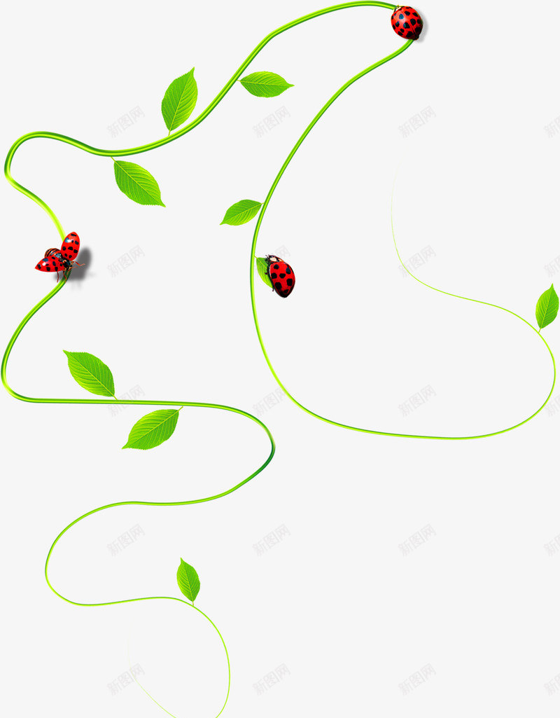 手绘合成绿色的藤蔓昆虫png免抠素材_88icon https://88icon.com 合成 昆虫 绿色 藤蔓