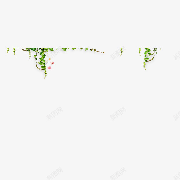 绿藤装饰png免抠素材_88icon https://88icon.com 绿色 藤蔓 装饰
