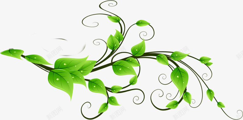 绿色清爽树叶美景装饰节日花藤png免抠素材_88icon https://88icon.com 树叶 清爽 绿色 美景 节日 装饰