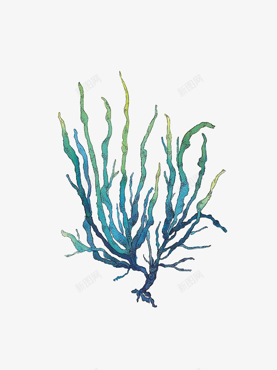 水草png免抠素材_88icon https://88icon.com 卡通水草 小草 手绘水草 海洋 蓝色水草