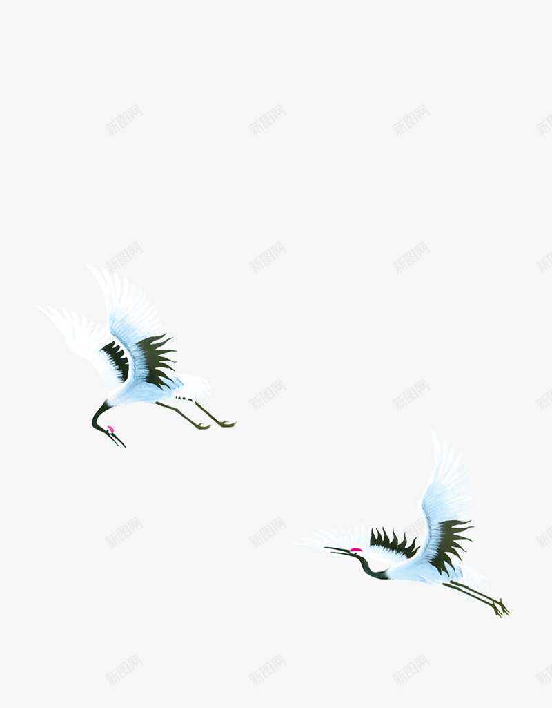 两只白鹤自由飞翔png免抠素材_88icon https://88icon.com 白鹤 自然 自由 飞翔