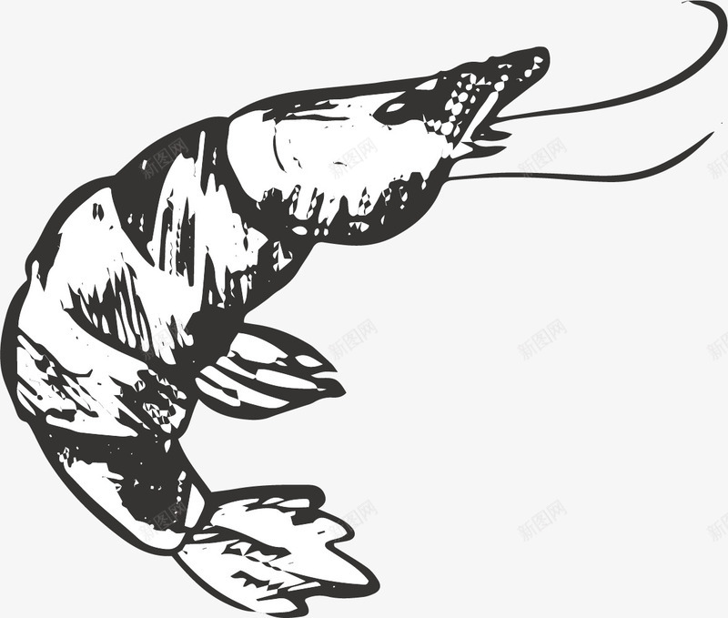 大虾蜷缩png免抠素材_88icon https://88icon.com 冰冻大虾 冻虾 基围虾 海洋鲜虾 虾仁 蜷缩
