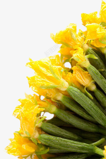 俏皮阳光装饰花卉黄瓜藤图png免抠素材_88icon https://88icon.com 绿色环保 绿色蔬菜 黄瓜 黄瓜幼苗 黄瓜花 黄瓜藤