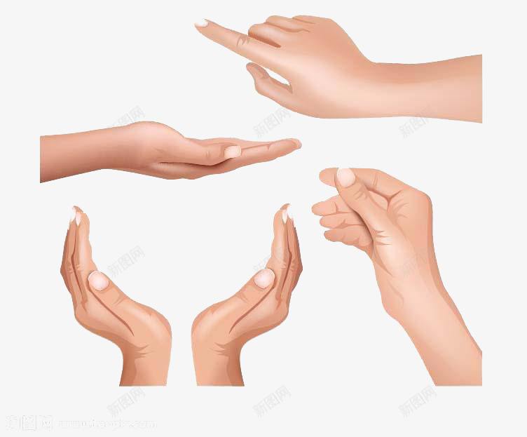 各种写实的动画手png免抠素材_88icon https://88icon.com 动画手 卡通形象 各种类型 手 手腕 种类 类别