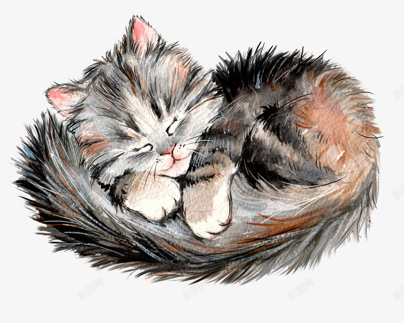 睡觉的小猫png免抠素材_88icon https://88icon.com 动物 小猫 手绘画 矢量装饰 装饰