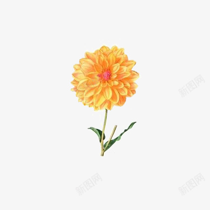 橘色花朵png免抠素材_88icon https://88icon.com 小花 文艺 橙色花朵 清新 花朵装饰 黄色花朵
