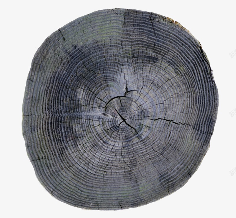 黑色带裂纹木头截面实物png免抠素材_88icon https://88icon.com 岁月 年轮 木头 木头截面 木材 材料 树木 植物 椭圆形 生火 纯色 裂纹 装修