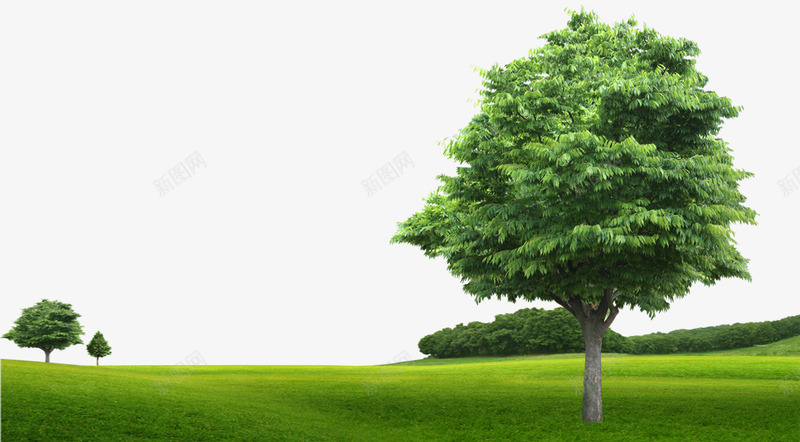 绿色草地树木psd免抠素材_88icon https://88icon.com 树木 绿色 草地