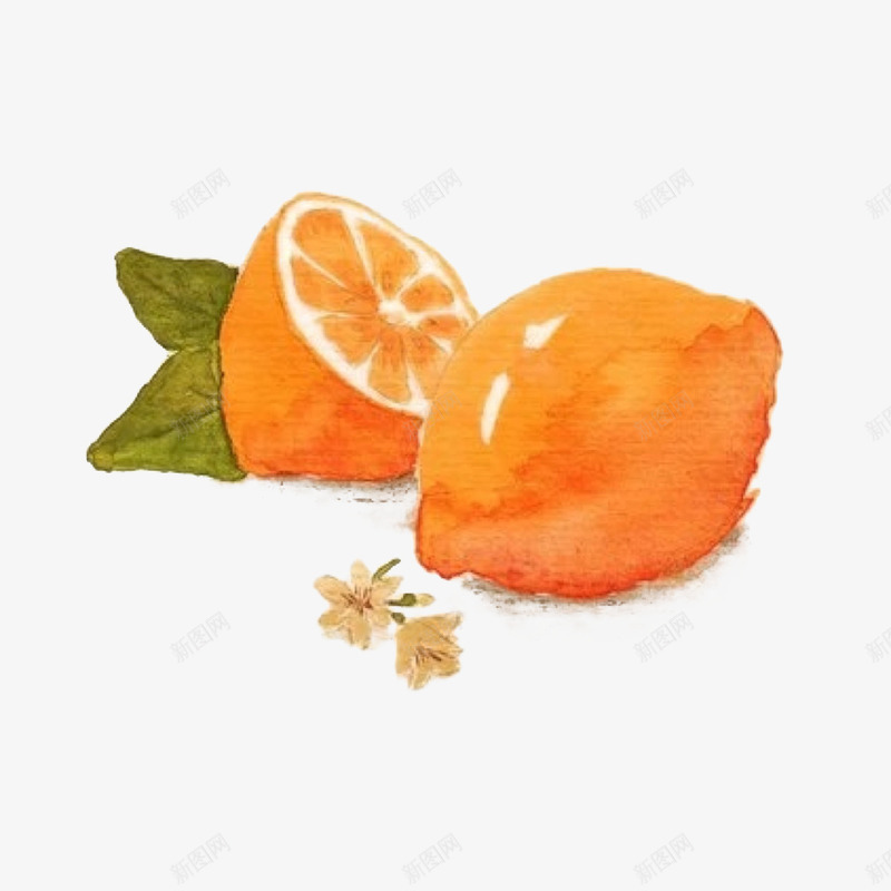橙色的柠檬png免抠素材_88icon https://88icon.com 手绘 果实 柠檬 橙色 水彩 水果 装饰