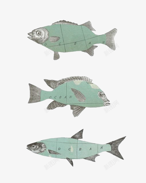 卡通蓝色鱼png免抠素材_88icon https://88icon.com 动物 卡通 手绘 插画 海洋 蓝色 鱼
