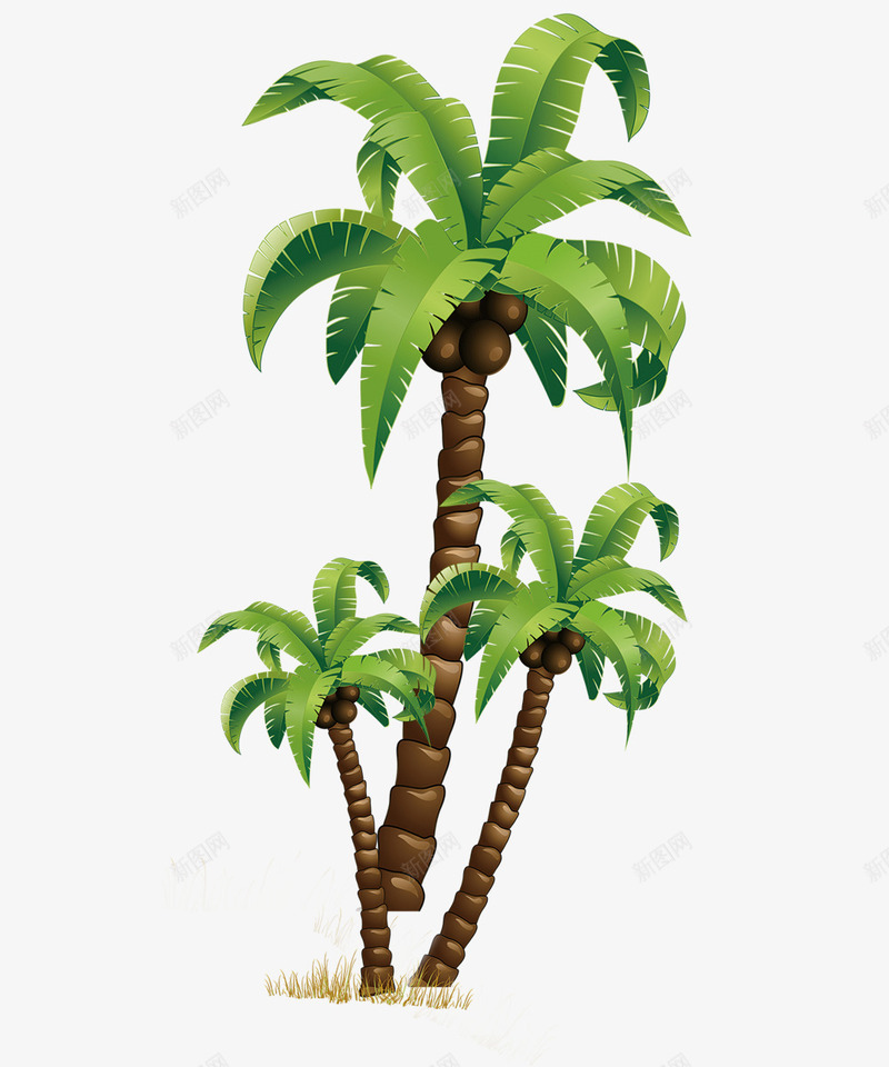 椰子树png免抠素材_88icon https://88icon.com 树木 椰子 泰国树