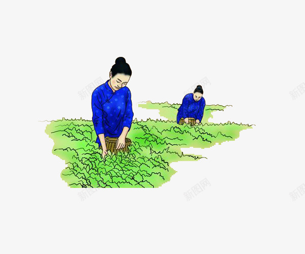 精致手绘采茶女图案png免抠素材_88icon https://88icon.com 图案 彩绘 手绘风格 精致风格 茶叶制作 装饰 采茶女 采茶手绘