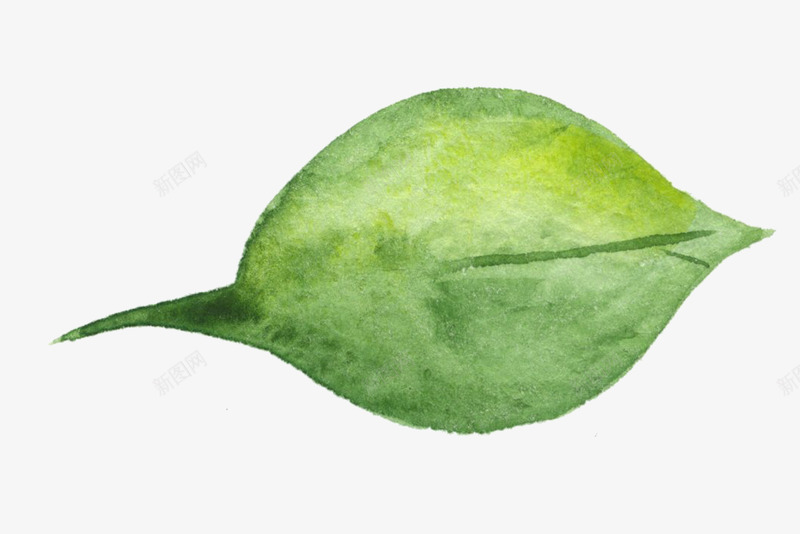 彩绘绿色树叶插画png免抠素材_88icon https://88icon.com 一片叶子 彩绘绿色树叶插画 树叶 树木 矢量绿叶 自然