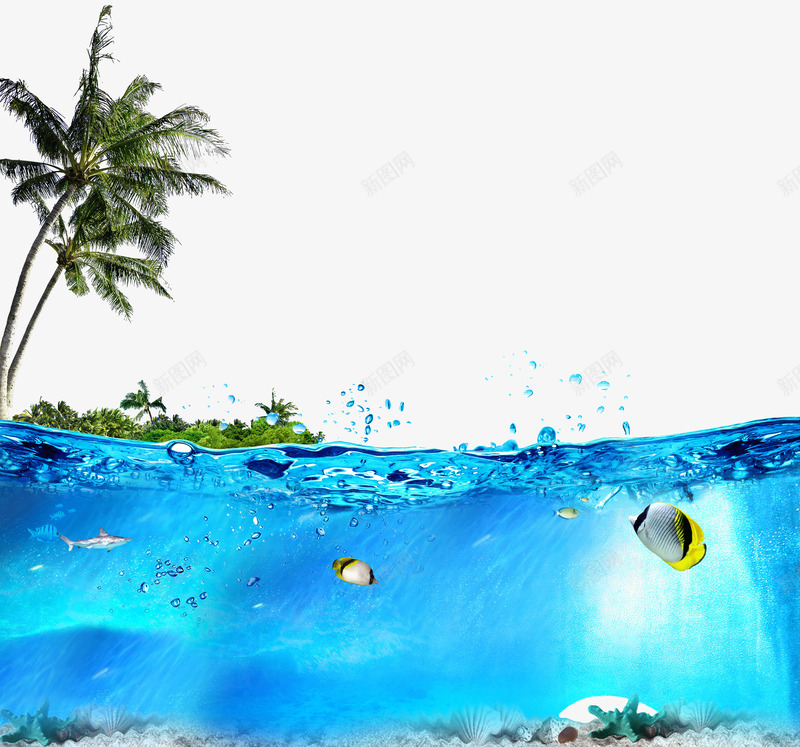 大海椰树png免抠素材_88icon https://88icon.com 大海 椰树 海洋
