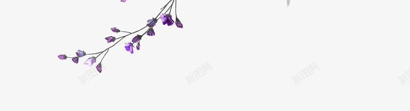 手绘清新花卉花朵png免抠素材_88icon https://88icon.com 小清新花草装饰 布料印花 文艺花草PPT制作 植物插画 海报设计 花草包装礼盒 花草插画 花草装饰