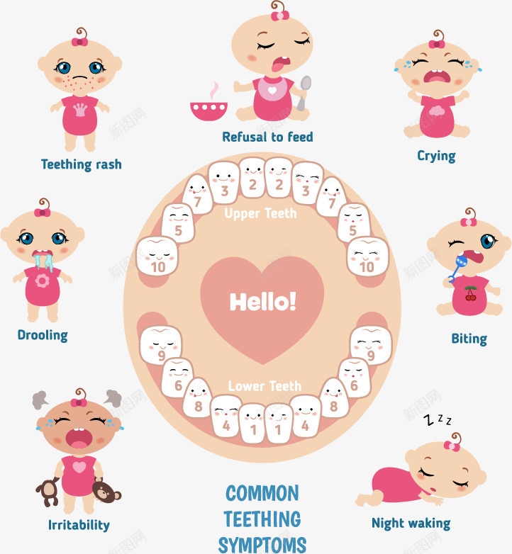 卡通婴儿牙齿牙科保护注解png免抠素材_88icon https://88icon.com 可爱牙齿 婴儿 教育图示