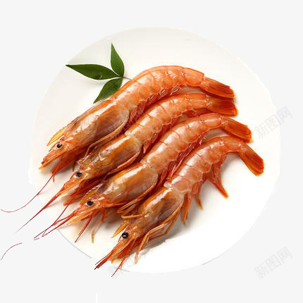 美味红虾png免抠素材_88icon https://88icon.com 海鲜 虾 食物 鱼虾