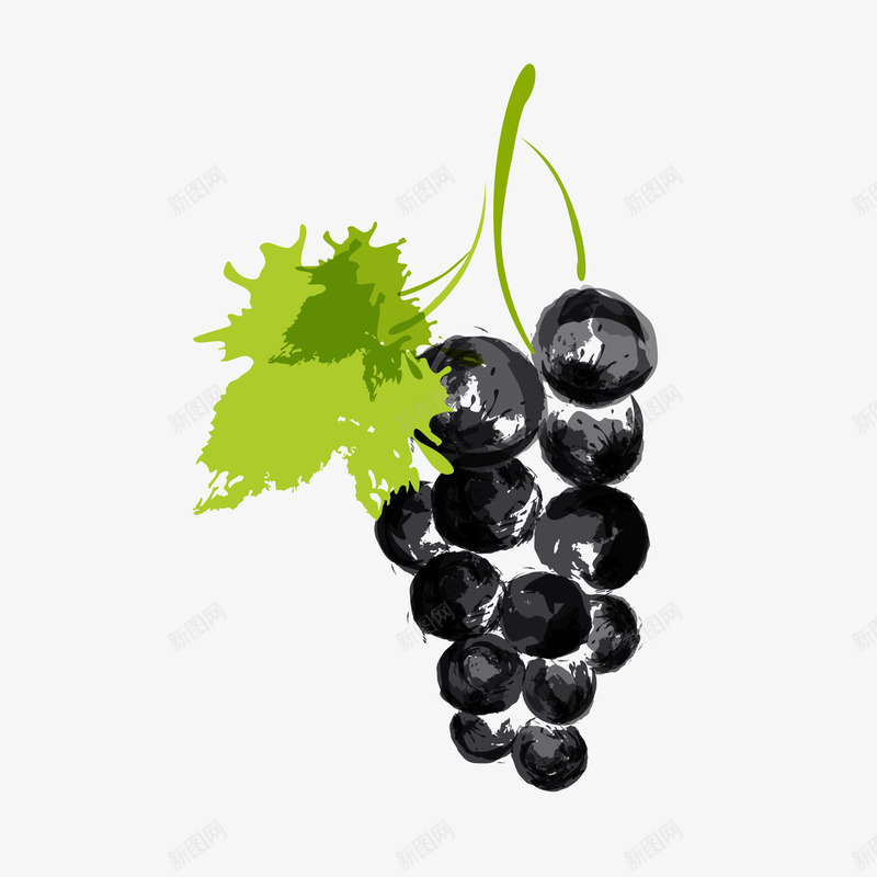 手绘水彩葡萄矢量图ai免抠素材_88icon https://88icon.com 手绘 手绘的 手绘葡萄 水彩 水彩提子 水彩的 水彩葡萄 矢量图