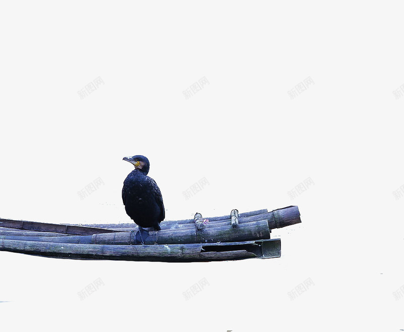 竹排鸟类png免抠素材_88icon https://88icon.com 动物 摄影 河 生活 竹排 鸟