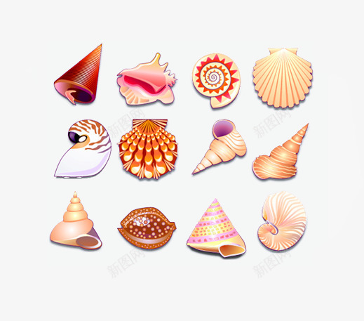 五彩贝壳png免抠素材_88icon https://88icon.com 各种各样的贝壳 漂亮的贝壳 背景图片贝壳 装饰图片贝壳 贝壳素材