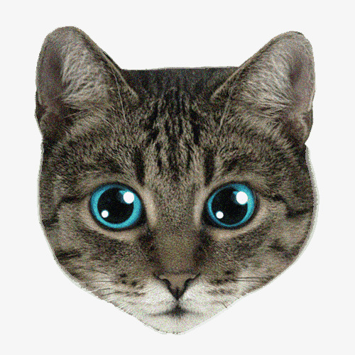 潮流酷炫猫咪装饰头像png免抠素材_88icon https://88icon.com 头像 潮流 猫咪 装饰 酷炫
