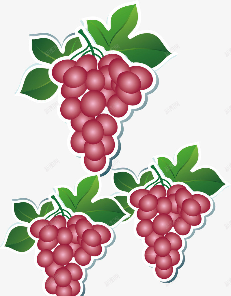 葡萄标签矢量图ai免抠素材_88icon https://88icon.com 元素 标签 葡萄 矢量图