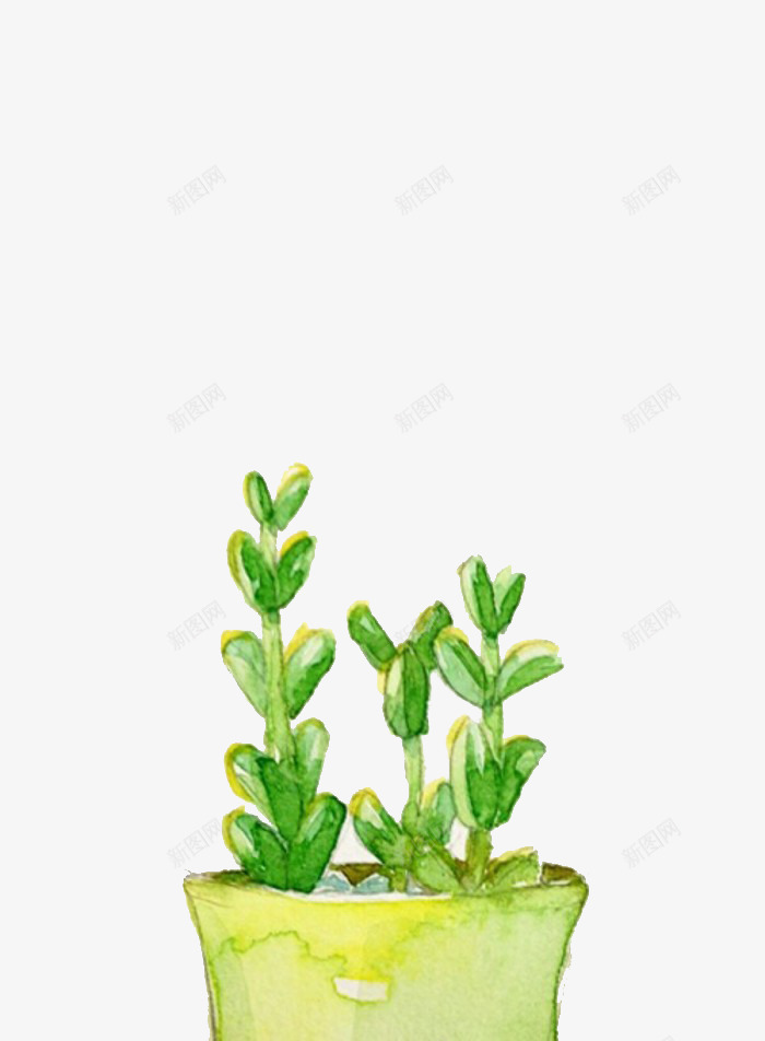 鹿角海棠png免抠素材_88icon https://88icon.com 多肉 多肉植物 彩铅 手绘 植物 水彩 盆栽 鹿角海棠