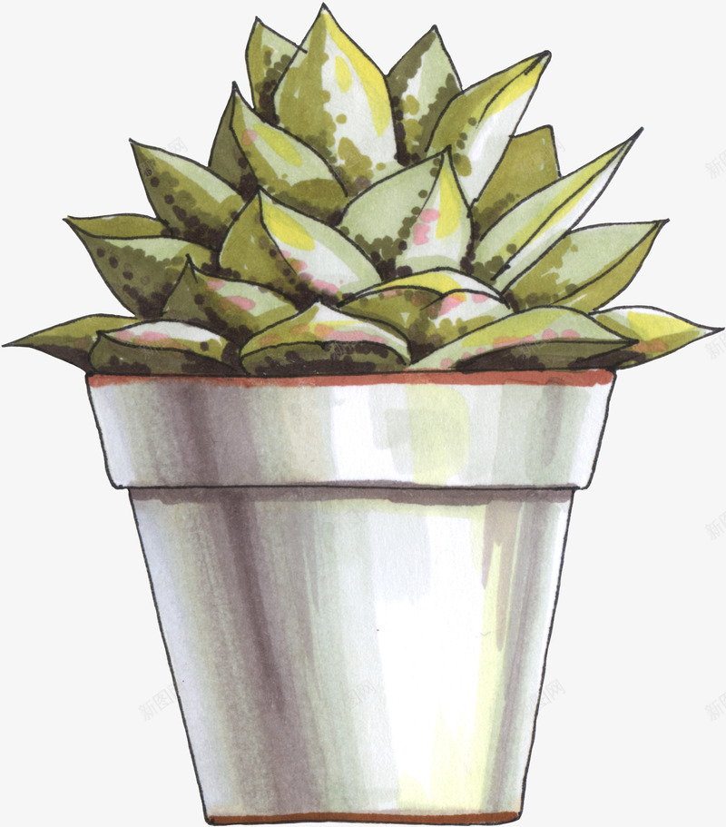 手绘多肉植物盆栽png免抠素材_88icon https://88icon.com 多肉 手绘 插画 文艺 植物 清新 花草装饰 花草设计