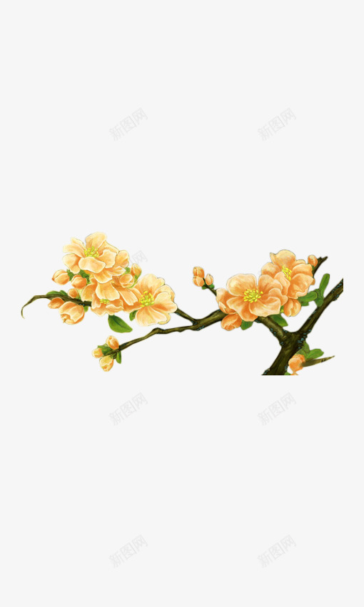 黄色简约花枝装饰图案png免抠素材_88icon https://88icon.com 免抠PNG 简约 花枝 装饰图案 黄色