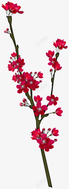 红色花枝花朵装饰png免抠素材_88icon https://88icon.com 红色 花朵 花枝 装饰