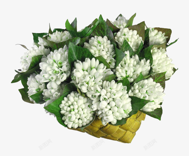 绿色多肉植物花束装饰图案png免抠素材_88icon https://88icon.com 免抠PNG 多肉植物 绿色 花束 装饰图案