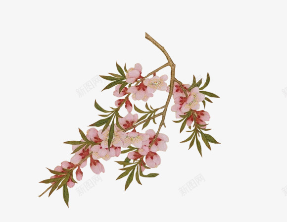 粉色小花绿叶花枝png免抠素材_88icon https://88icon.com 粉色 绿叶 花枝