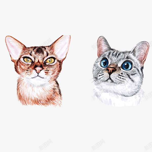 手绘水彩可爱猫咪头像png免抠素材_88icon https://88icon.com 可爱 头像 宠物 手绘 水彩 猫咪