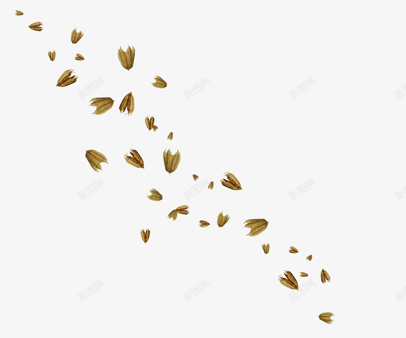 枯花装饰png免抠素材_88icon https://88icon.com 剪纸 漂浮纸花 纸片 花卉