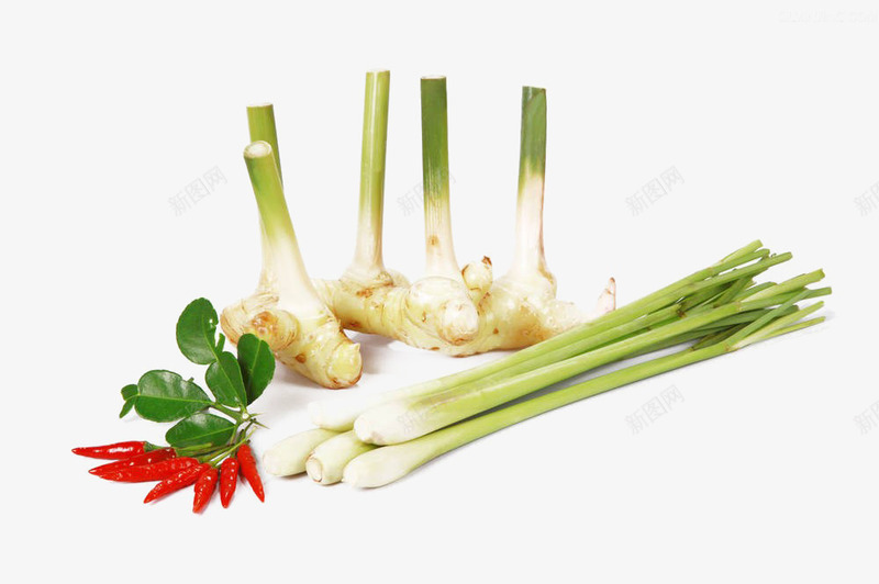 柠檬草png免抠素材_88icon https://88icon.com 健康 柠檬草 自然 调味品 辛辣 食物