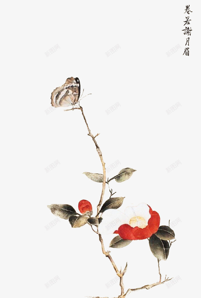 手绘花枝上的蝴蝶png免抠素材_88icon https://88icon.com 中国风 手绘 昆虫 水彩画 花枝 花树 蝴蝶
