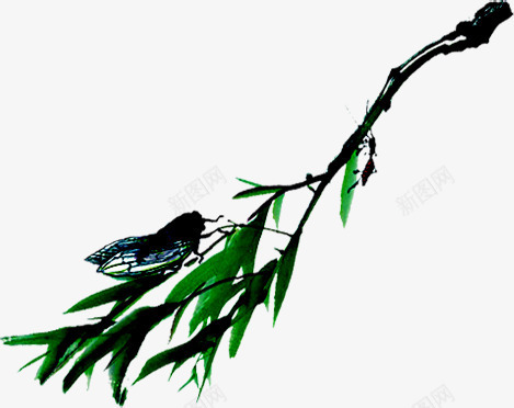 绿色夏日蝉鸣昆虫png免抠素材_88icon https://88icon.com 夏日 昆虫 绿色
