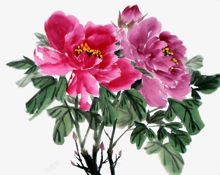 花枝png免抠素材_88icon https://88icon.com 工笔画 树叶 红花